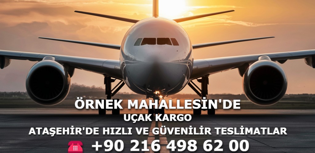 Örnek Mahallesi Uçak Kargo | Ataşehir