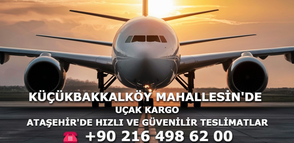 Küçükbakkalköy Mahallesi Uçak Kargo | Ataşehir